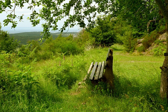 没有为整个 没有为整个