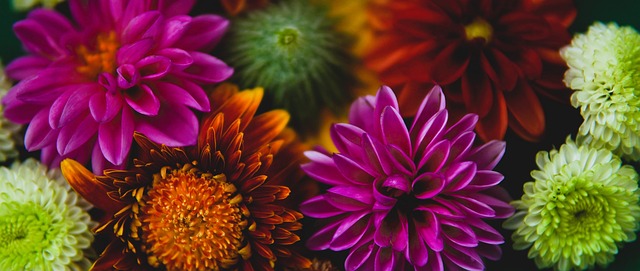 领袖的中卫 领袖的中卫