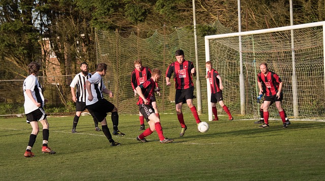 他的影响力 他的影响力