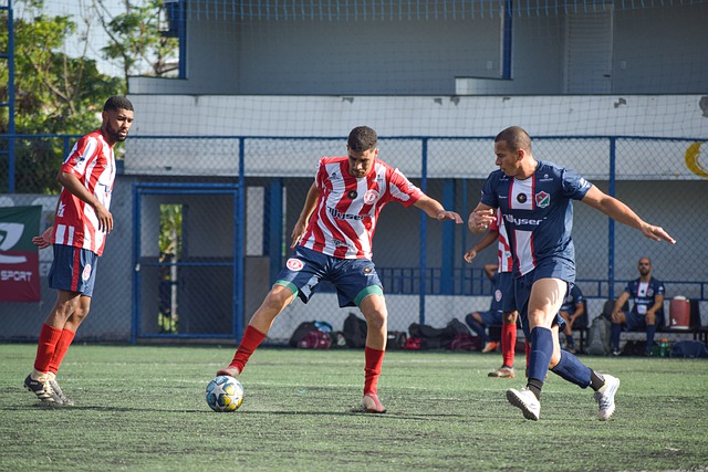 当我们回顾 当我们回顾