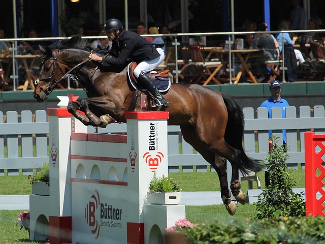 震撼教育 震撼教育