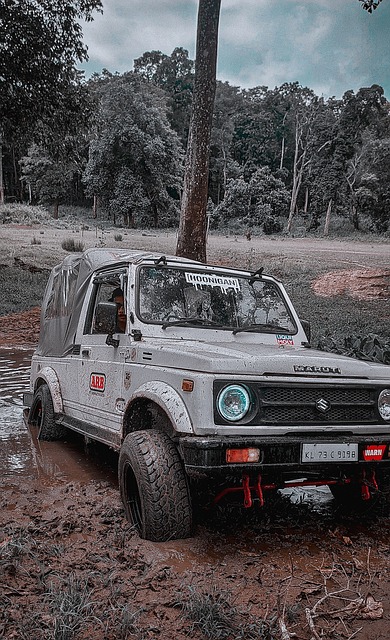 篮网能够逆 篮网能够逆